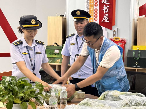廣西龍勝“你點(diǎn)我檢” 科技賦能校園餐飲管理，守護(hù)學(xué)生舌尖安全