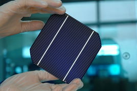 光伏寒冬下的逆勢生長 晶龍集團何以一枝獨秀，實現光源設備滿負荷生產？